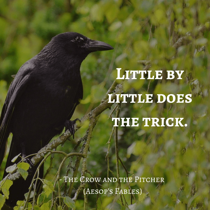Life Lessons From Aesop's Fables _the crow and the pitcher quotes