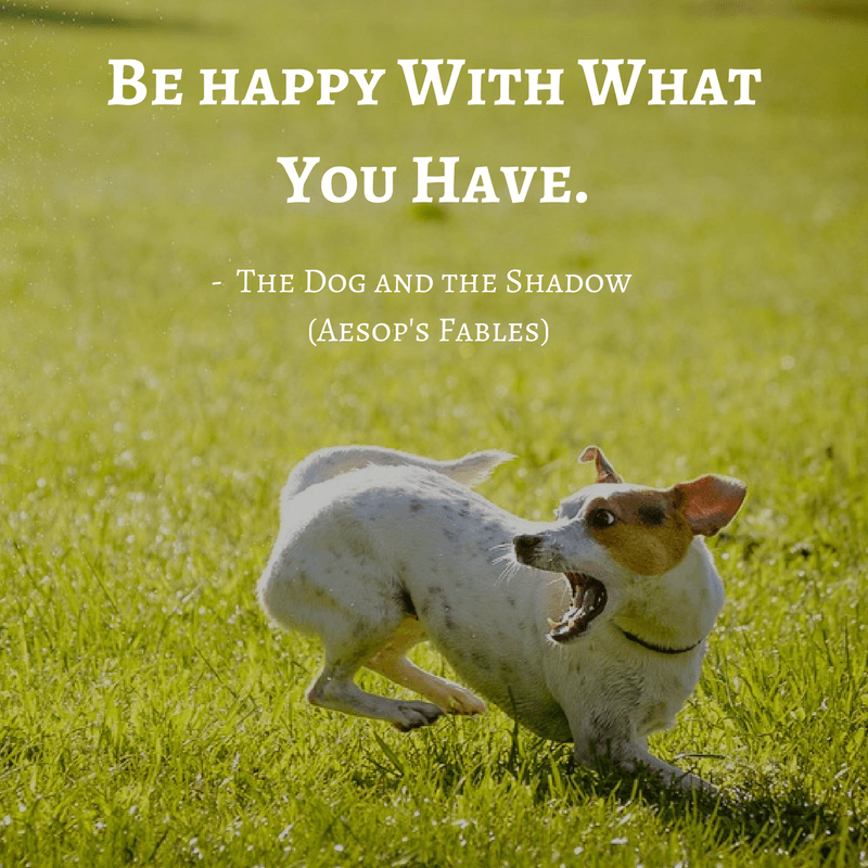 Life Lessons From Aesop's Fables _the dog and the shadow quotes